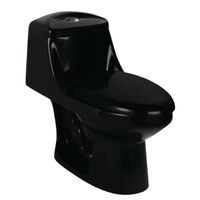 AIDI Vente à chaud Sud-américain Inodoro S-trap 300mm Brillant Noir Siphonic WC Commode de toilette une pièce