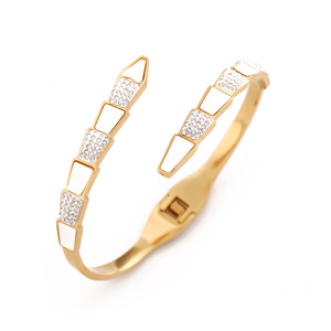 Brazalete de Moda con Baño de Oro de 18k, Diseño de Concha, Acero Inoxidable, Circonita Cúbica, Brazalete de Serpiente para Mujeres y Niñas, Regalos - Product Image 2