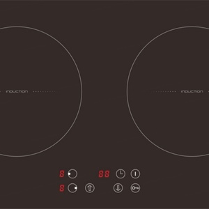 Appareils de cuisine personnalisés, cuisinière électrique commerciale, plaque à induction 4000W, 2 plaques, pour cuisiner - Product Image 2