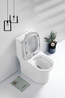 WC monobloc à siphon vortex économiseur d'eau, sortie en S 300 mm, installation encastrée 690x405x750 mm