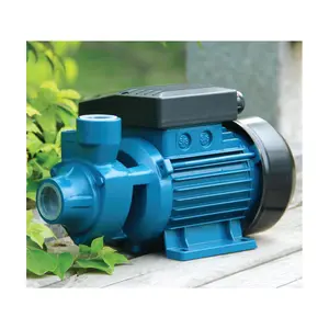 IDB小型增压电动水外围泵涡流泵价格园艺调节0.5hp 0.37kw 1年水Odm Rohs，Ce