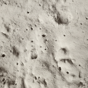 Cenizas volantes de clase F puzolánicas de Vietnam-Entrega a granel para cemento anticorrosión duradero - Product Image 1