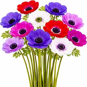 Flor de Anémona Artificial de Látex con Tacto Real, Venta al por Mayor de Fábrica, para Decoración de Hogar, Bodas y Fiestas, Arreglos Florales - Product Image 1