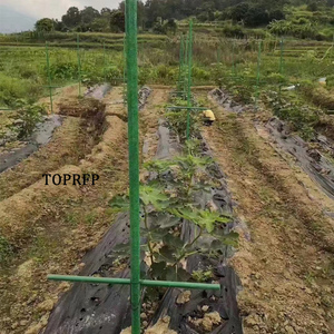 Support de colonne en fibre de verre sur mesure pour plantes de fruit de la passion, pour l'agriculture et le jardinage extérieur - Product Image 4