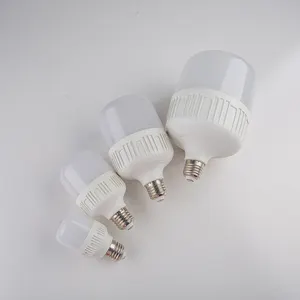 Lampadina A buon mercato che ospita un Typw B22 E27 E14 0.3W 12V 15W 40W gigante lampada luce Ac185-265V lampadine A Led per grandi locali