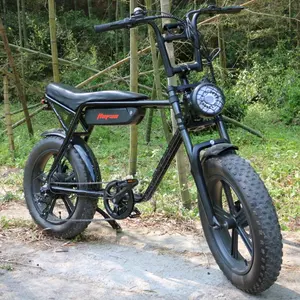 750w 1000w EバイクEbikeモーターダートマウンテンファットタイヤ自転車電動自転車