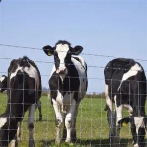 Direct van de fabriek: groothandel gegalvaniseerde/verzinkte/poedercoating geplateerde panelen voor vee, geschikt voor het afbakenen van weilanden. - Product Image 5