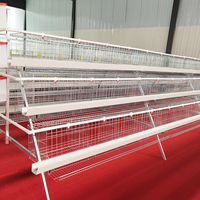 Poulailler automatique 4 niveaux pour poules pondeuses de type A – Équipement avicole pour l'élevage de poulets