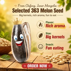 Semillas de <span class=keywords><strong>Girasol</strong></span> Crudas No Transgénicas Grado 363, Semillas de <span class=keywords><strong>Girasol</strong></span> Gigantes Secas a Granel, Alimento a Granel con 24 Meses de Vida Útil - Product Image 4