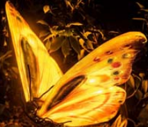 Festival Decorative Lamp For Holiday Celebration And <b>Night</b> Event Display Ip65 - Product Image 1