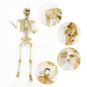 Décoration d'Halloween personnalisée Horreur Halloween Décorations <span class=keywords><strong>Squelette</strong></span> 12 pieds pour Maison Hantée Décor Maison Fête Cimetière - Product Image 6