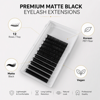 Extensions de cils professionnelles pour salon, plateau de cils individuels, courbure C D CC, 0,05 mm 0,07 mm, fibre synthétique, outils de maquillage pour les yeux