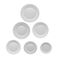 Plat compact de bagasse biodégradable de 5 pouces approuvé par la FDA LFGB Design minimaliste jetable rentable pour le camping