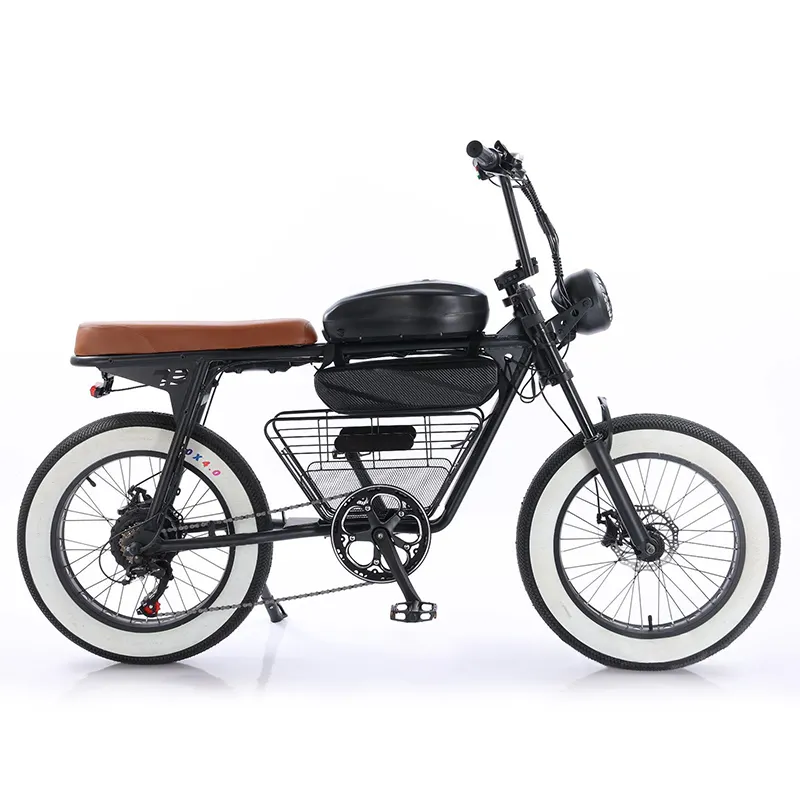 Bicicleta eléctrica de montaña de 20 pulgadas, bici de neumático ancho, retro, 48V, 500/750/1000W, 13/26Ah, batería dual