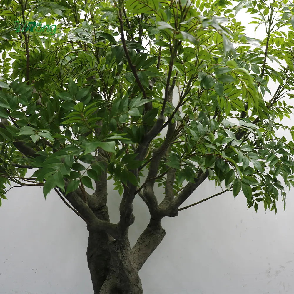 Arbre en bois laqué artificiel Rhus Vernicifera Decor Tree For Indoor Outdoor Decor Landscape Space Design