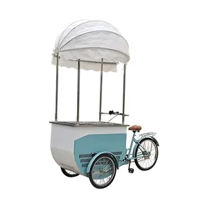 Manual or Electric Ice Cream Cart Bike Fruit Food Tricycles with Freezer