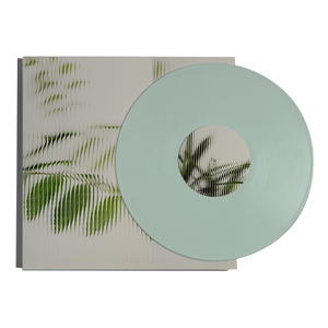 Disques vinylique, presse à disques vinylique, emballage, presse à disques vinylique LP - Product Image 1