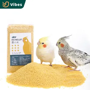 حبوب طيور الببغاء التي تعد طعامًا مميزًا للطيور الأليفة في جنوب شرق آسيا من البذور البيضاء الصفراء من Foxtail لتغذية الطيور