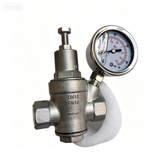 Vanne <span class=keywords><strong>de</strong></span> réduction <span class=keywords><strong>de</strong></span> <span class=keywords><strong>pression</strong></span> d'<span class=keywords><strong>eau</strong></span> en acier inoxydable 304 DN15 PN16 avec manomètre, régulateur <span class=keywords><strong>de</strong></span> <span class=keywords><strong>pression</strong></span> fileté réglable pour l'alimentation en <span class=keywords><strong>eau</strong></span> - Product Image 6