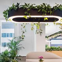 Lustre LED circulaire ovale vert pour plantes, luminaire décoratif pour salon, chambre, salle à manger, bureau à domicile
