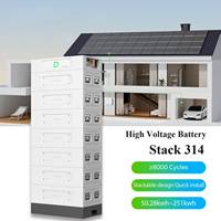 Prix Usine Dyness Offre Spéciale Batterie Lithium Empilable 51.2V 314Ah 16kWh pour Système de Stockage d'Énergie Domestique Stack 314 48kWh~241kWh