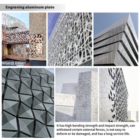 Panneaux de conception de revêtement en aluminium massif en métal pour extérieur d'usine Panneaux de perforation Façade murale Bardage métallique