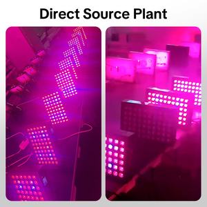 Dispositivo per Terapia della Luce Rossa con 60 LED 460/590/660/850nm, Pannelli per Terapia Luminosa di Grado Professionale per la Pelle, Recupero con Pannello LED a Infrarossi - Product Image 6