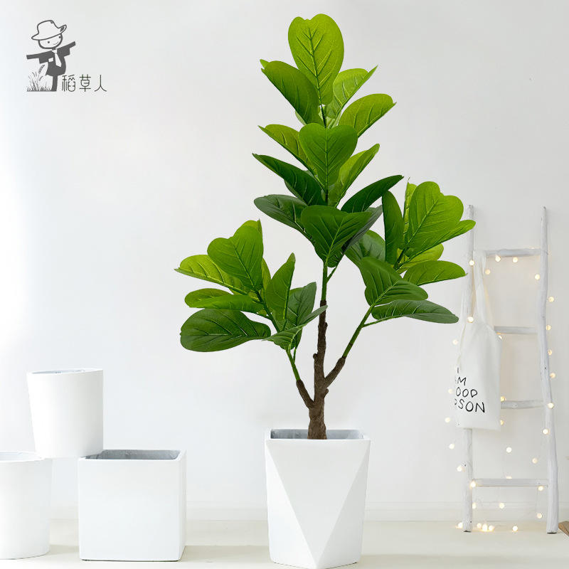 3 fourches 33 feuilles de piano banyan 95cm-sans bassin