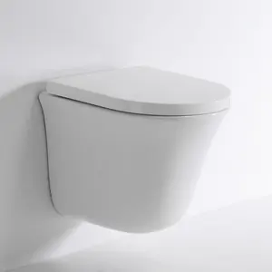 New Coming Luxury BEFEN 47cm Rimless Toilet Cistern Wc Toilet Set Asian Type Wall Mounted Toilet