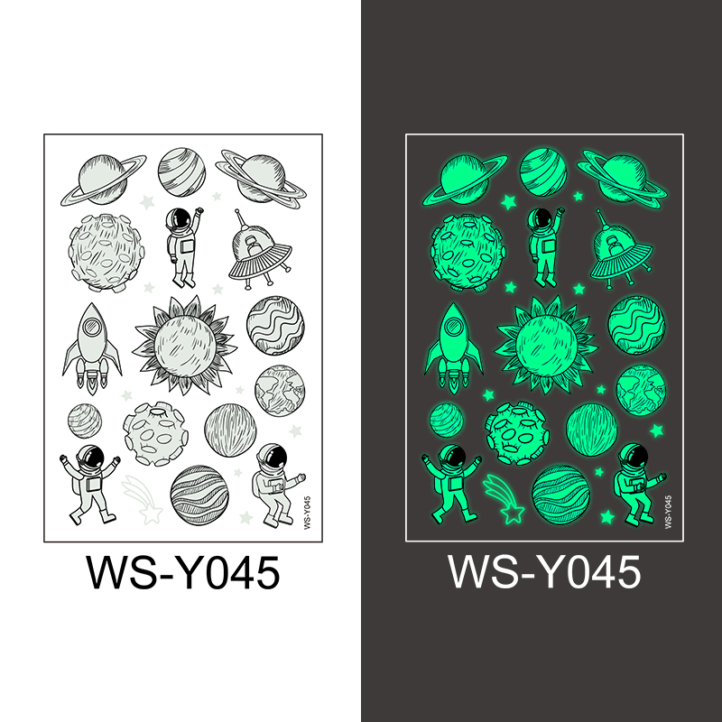 WS-Y045