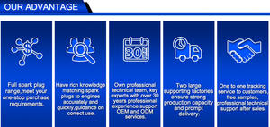 Dongfeng <span class=keywords><strong>Peugeot</strong></span> partes bujía LF6RA LF6RAIX para <span class=keywords><strong>Peugeot</strong></span> <span class=keywords><strong>408</strong></span>, 307, 207, 206 1.6L TU5JP4 N6A 10XA3A PSA - Product Image 3