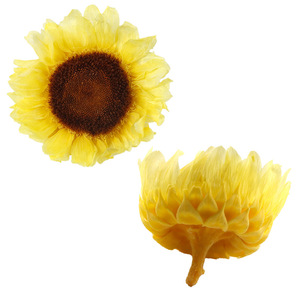Tête de tournesol éternelle, Matériel floral DIY, Matériel de fleurs naturelles en gros pour la Fête des Enseignants - Product Image 6