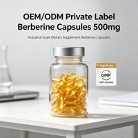 Capsules de Berbérine HCL Naturelle Marque Blanche OEM – Soutien Antioxydant et Énergétique pour la Santé Intestinale et Immunitaire des Adultes – Complément Alimentaire à Base de Plantes