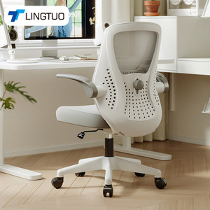 LingTuo Ergonomic Office <b>Chair</b> With Flip Armrest And Swivel Base For Home Office Bedroom <b>Study</b> Use - Product Image 1