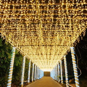 <span class=keywords><strong>Guirnalda</strong></span> de <span class=keywords><strong>Luces</strong></span> LED de <span class=keywords><strong>Navidad</strong></span> de 3M/4M/5M para Decoración de Calles, <span class=keywords><strong>Luces</strong></span> de Hielo para Exteriores, Decoración de Paredes, Aleros, Bodas y Fiestas - Product Image 1