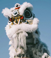 Costume de tête de lion du Nouvel An chinois pour adultes, fait main en soie/coton, laine épaisse et peluche, accessoires de performance traditionnels personnalisés