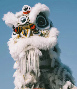 वयस्कों के लिए मंच प्रदर्शन वेशभूषा शेर नृत्य पोशाक - Product Image 6