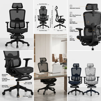 Chaise de bureau ergonomique moderne en maille, dossier haut, pivotante, réglable en hauteur avec support lombaire pour le bureau à domicile