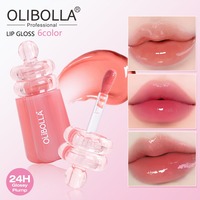 OLIBOLLA Mirror Lip Glaze, gloss à lèvres repulpant longue tenue 24h, 6 couleurs