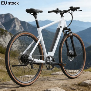 Motore Posteriore Y700 36V 250W per Bici Elettrica da Strada e Mountain Bike con Pneumatici Larghi, Bici Elettrica da Montagna in Vendita - Product Image 1