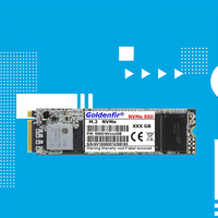 قرص صلب Goldenfir M.2 NVMe PCIe3.0 SSD بسعة 120 جيجابايت و128 جيجابايت و240 جيجابايت للكمبيوتر المحمول وسطح المكتب