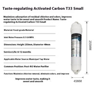 Petit filtre à charbon post T33 avec 1 an de garantie pour un traitement efficace de l'eau
