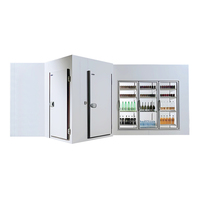 Porte vitrée isolée en mousse de polyuréthane pour chambre froide, chargement arrière, pour magasin de boissons