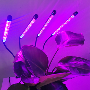 Tabletop <b>Plant</b> <b>Light</b> 6W 8W Double Tube Clip Lamp With Timer for Small Houseplants and Indoor Seedlings - Product Image 4