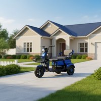 Vélo électrique à 3 roues en promotion, tricycle électrique pour adultes, 50 km/h, tricycle électrique pour personnes âgées, scooter de mobilité