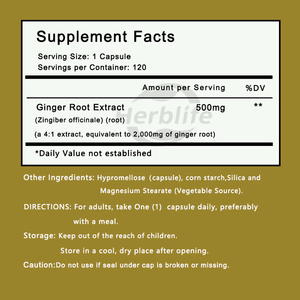 Cápsulas de Extracto de Raíz de Jengibre de Marca Privada OEM ODM 4:1, Cápsulas Veganas de Extracto de Jengibre, Apoyo a la Salud Digestiva, Apoyo Herbal - Product Image 2