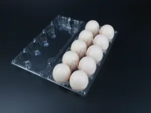 Scatola per uova 10 fori scatola per uova di gallina scatola di plastica biodegradabile scatola per uova in plastica per generi alimentari