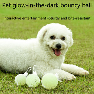 Toptan 5cm,6cm 7cm aydınlık topu dayanıklı <span class=keywords><strong>Pet</strong></span> çiğnemek interaktif diş temizleme parlayan karanlık top köpek oyuncaklar - Product Image 3