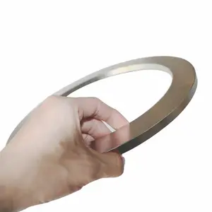 Custom High Power NdFeB Ring Magnet For Industry