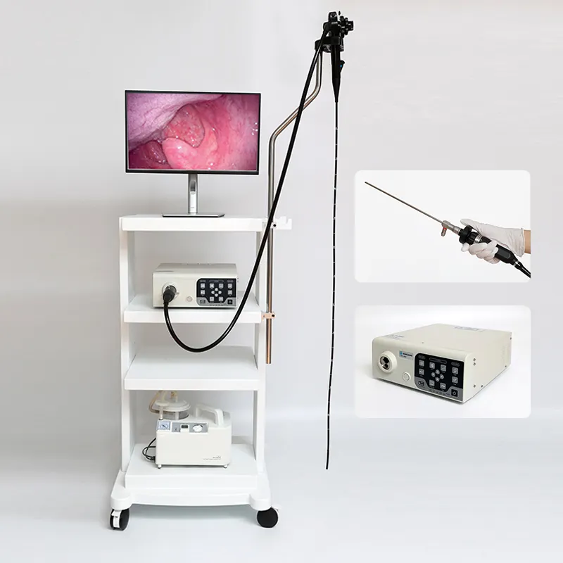 Tıbbi Video endoskop endoskopi makinesi gastroskop kolonoskop veteriner endoskop kamera köpek endoskopi sistemi